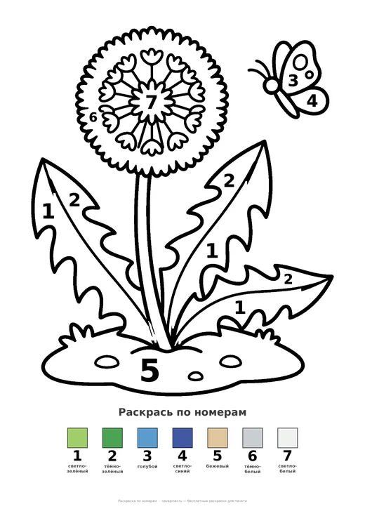Раскраска: Одуванчик, А4 для печати