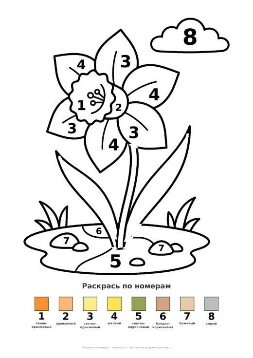 Раскраска: Нарцисс, А4 для печати