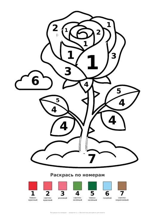 Раскраска: Роза, А4 для печати