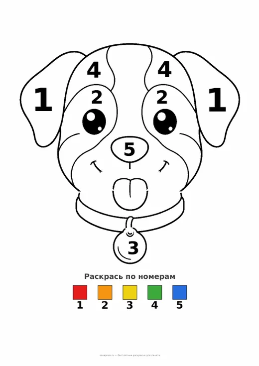 Раскраска: Мордочка собаки, А4 для печати