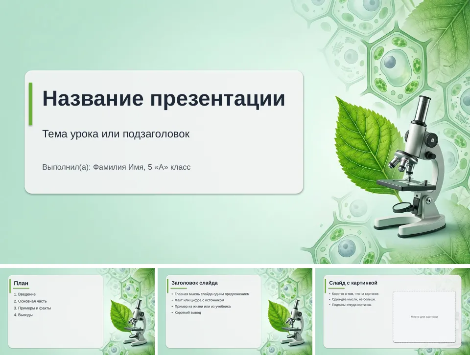 Шаблон презентации «Биология»: титульный слайд, план, слайд со списком и слайд с картинкой