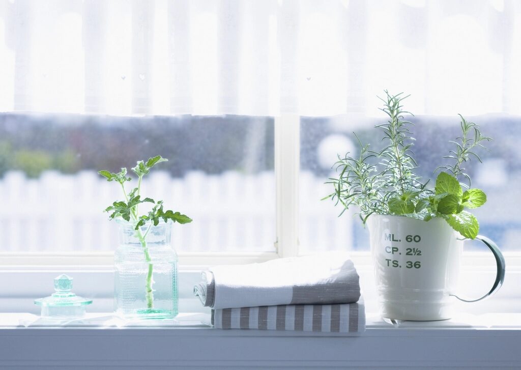kitchen herbs pots windowsill