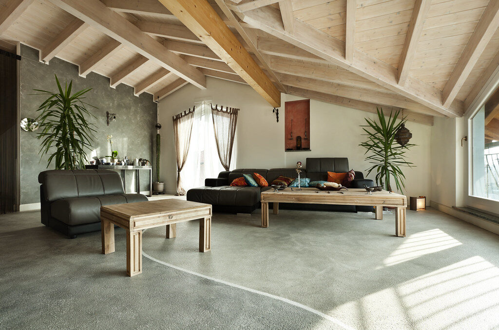 cozy apartment interior with plants